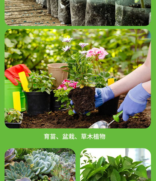 营养土通用种花种菜有机泥土家用绿萝花卉盆栽多肉种植土大包花土