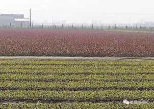 他本是生意红火的店老板,却做出了惊人的决定