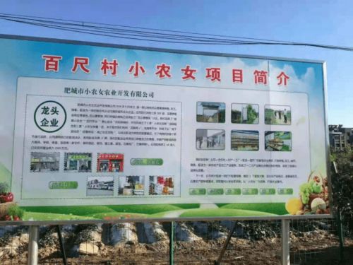 肥城市老城街道百尺村 苗木 蔬菜种植 黄粉虫养殖 农产品深加工配送