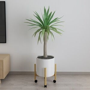 家庭花卉种植需要那些用品 常见的园艺工具选购清单