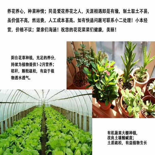 营养土种菜种花多肉绿萝肥料花土发财树盆栽种植土有机土通用10斤