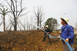 宁波植物园 万株苗木育生态，百样花卉绽芳华